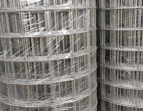 1111112.jpg 1111112.jpg